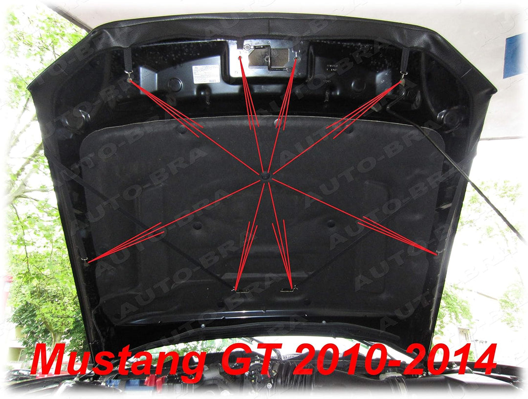 AB3-00412 CARBON OPTIK BRA kompatibel mit Ford Mustang GT GT500 Bj. 2010-2014 Haubenbra Steinschlags