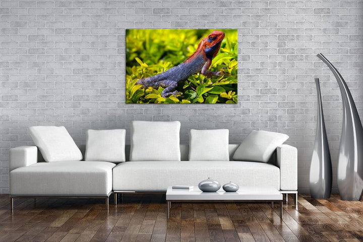 deyoli farbige Schuppen eines Reptil Format: 120x80 als Leinwandbild, Motiv fertig gerahmt auf Echth