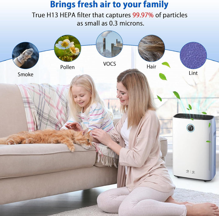 FY2425 Ersatzfilter Kompatibel mit Philips AC2729/10 Series 2000 und 2000i 2-in-1 Luftreiniger und L