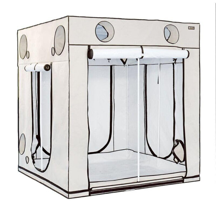 Weedness HOMEbox Ambient 200x200x220 cm - Zuchtzelt Growschrank Growzelt Zuchtbox Gewächszelt Homebo