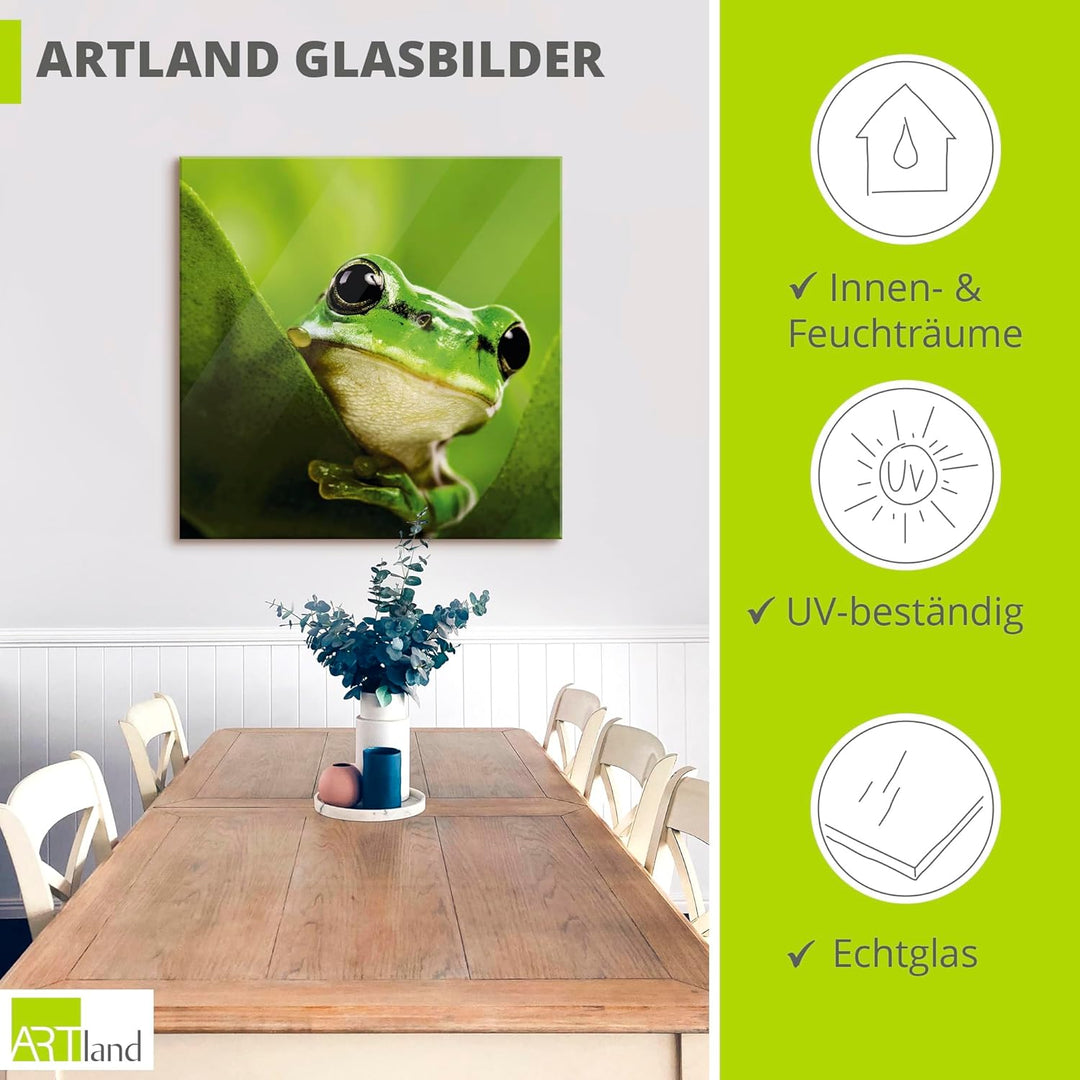 ARTland Glasbilder Wandbild Glas Bild einteilig 50x50 cm Quadratisch Natur Tiere Frosch Gesicht Laub