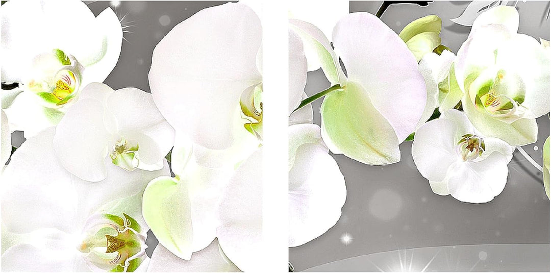 Runa Art Bild Modern Blumen Orchidee - Made in Germany - Wandbilder Abstrakt Grau 4 Teilig 006142b B