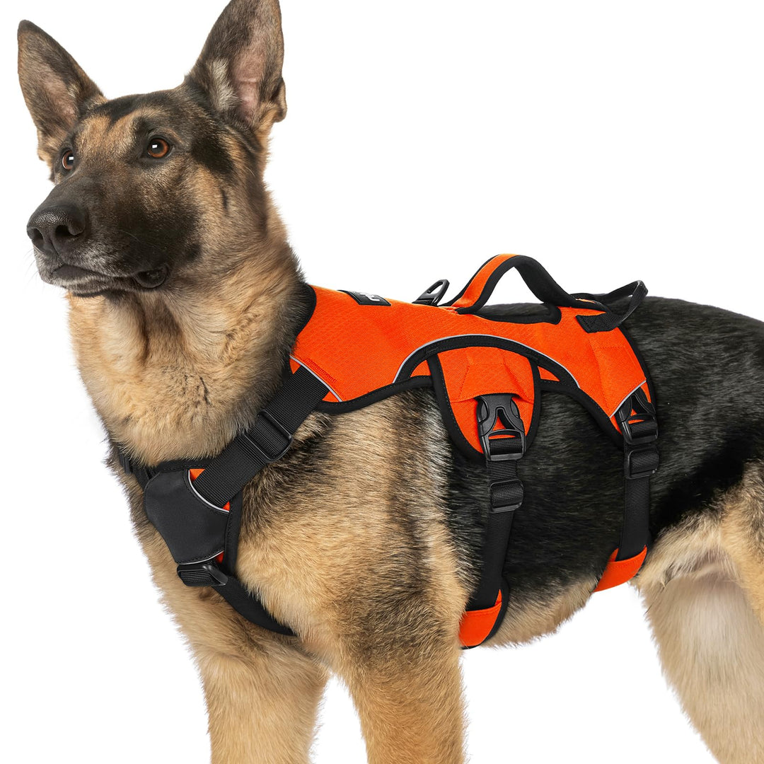 rabbitgoo Ausbruchsichere Hundegeschirr Grosse Hunde mit Griff, Anti Zug Sicherheitsgeschirr Hund At