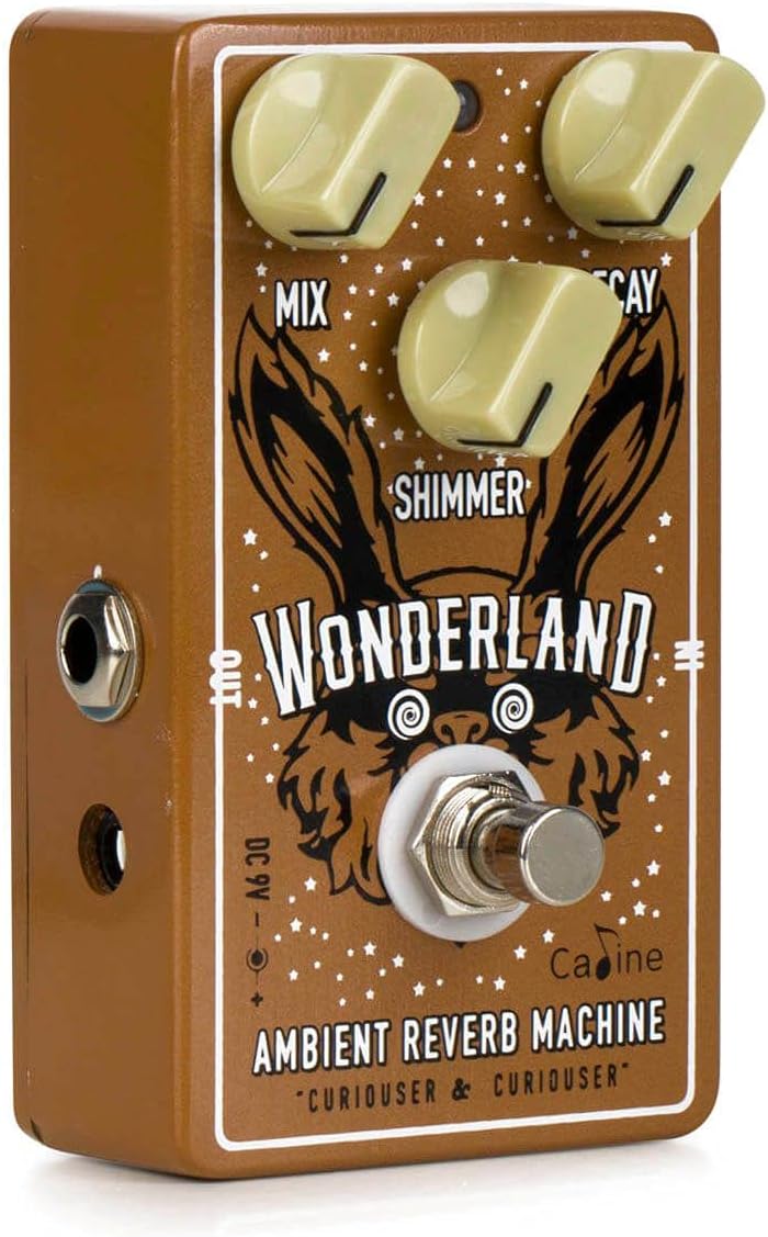 Caline CP-508 Wonderland Reverb - Effekt pedale