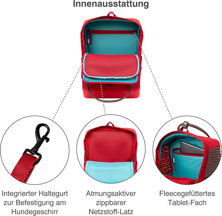 Kurgo Nomad Carrier Rucksack - Flugzeugtaugliche Hundetasche - Leichter Rucksack für Haustiere mit w