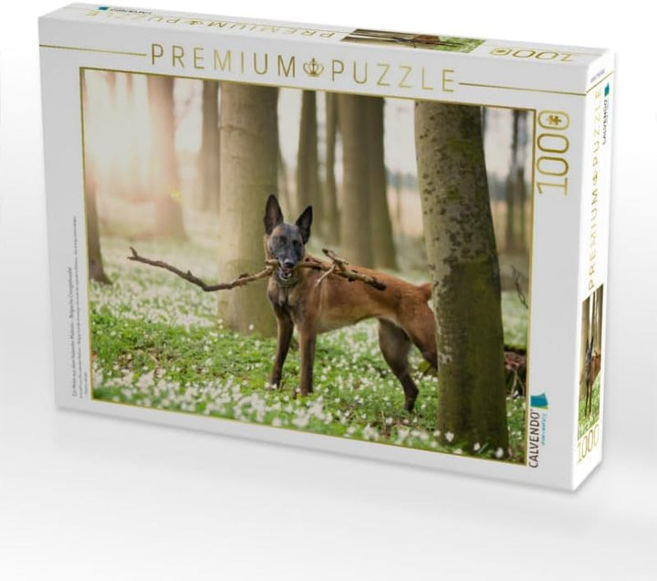CALVENDO Puzzle Malinois - Belgische Energiebündel 1000 Teile Lege-Grösse 64 x 48 cm Foto-Puzzle Bil