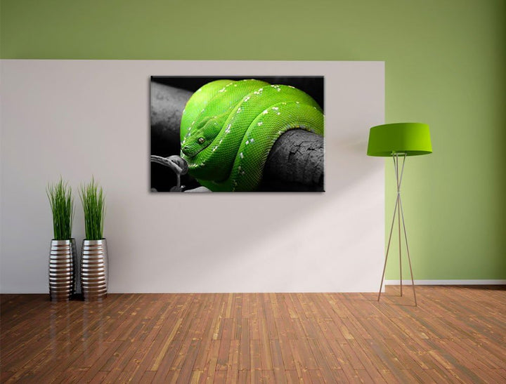 Pixxprint Grüne exotische Schlange als Leinwandbild/Grösse: 100x70 cm/Wandbild/Kunstdruck/fertig bes