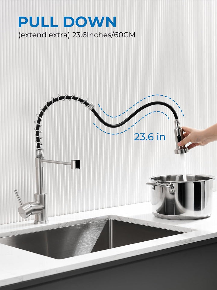 Küchenspüle-Wasserhahn, Küchenarmaturen mit herausziehbarem Sprüher, WEWE Edelstahl, Einzelgriff, Ei
