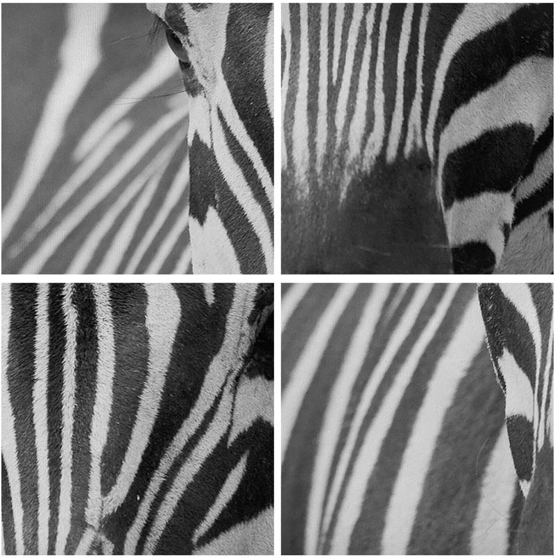 Wandbilder Dekoration Wohnzimmer Tiere Zebra gestreift Panorama Bilder auf Leinwand 120x50cm Leinwan