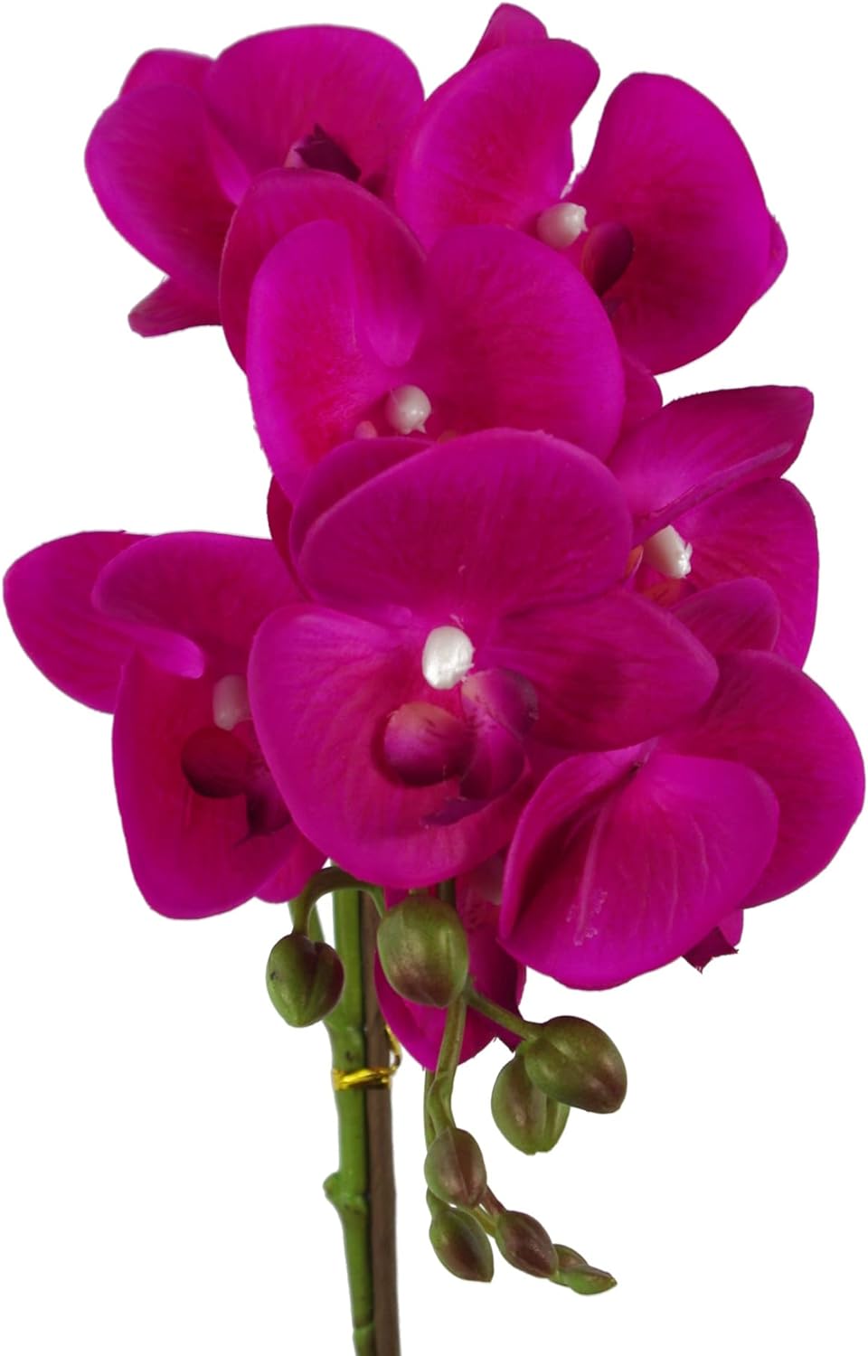 Leaf Design UK Realistische künstliche Orchidee im Topf 50 cm Dunkelrosa und Silberfarben, 50 cm Dun