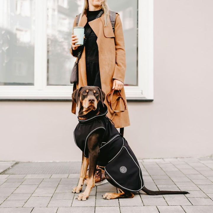 HUNTER UPPSALA SOFTSHELL Hundemantel, Funktionsmantel, 55, schwarz, 55