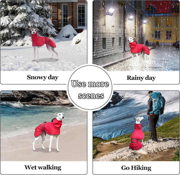 Geyecete Windhund Leicht Hundejacke Regenjacke, Hunderegenmantel Wasserdicht Verstellbar Windhundeja