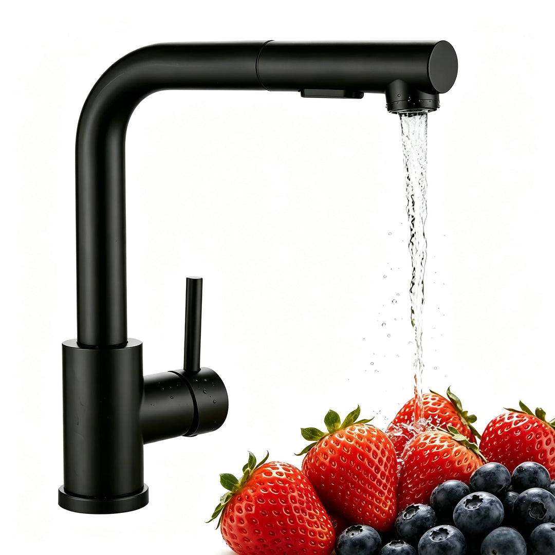 Wasserhahn Küche,Küchenarmatur Ausziehbar mit Hochdruck,Spültischarmatur Küche mit Brause Zwei Wasse