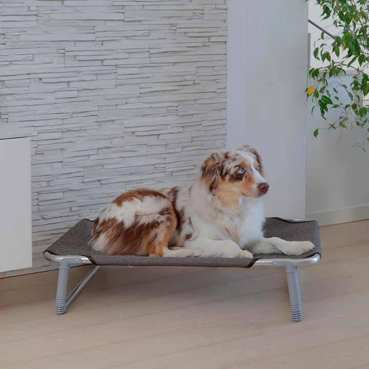 Ferplast Klappbett für Hunde DREAM 80, Liege aus massivem Aluminiumrahmen mit Stoffbezug und verstär