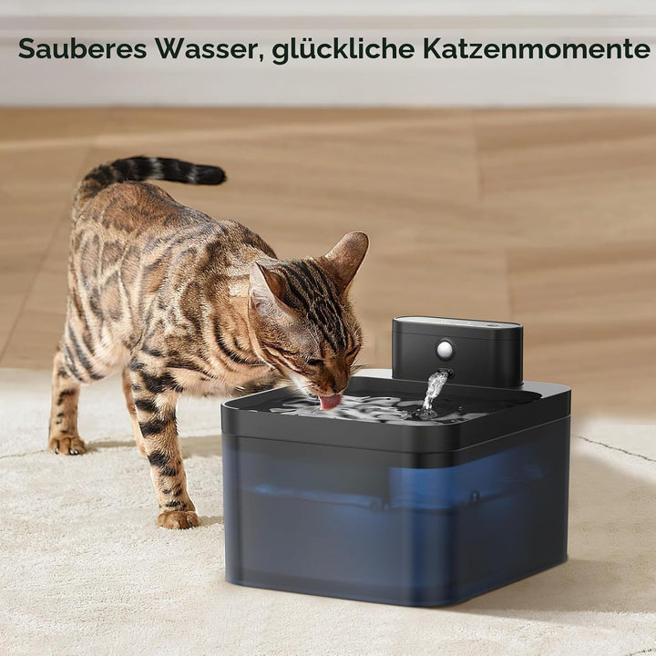 2.5L Katzenbrunnen Kabellos Filter und 6 Stück Aktivkohle Ionenaustauschharz Filter und 6 Stück Pump