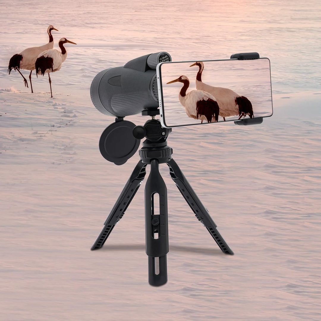 Monokulares Teleskop 12-36X60, Monokular Fernrohr mit BAK4-Prisma und Stativ Smartphone-Halter für B