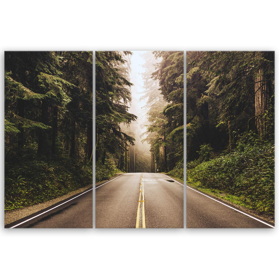 ge Bildet Bild auf Leinwand | Landschaftsbilder - Redwood Highway in Nordkalifornien, USA U in 90x60