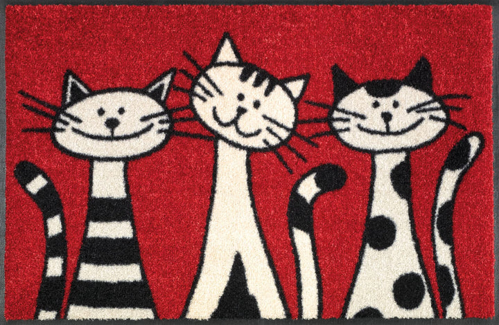 wash+dry Fussmatte, Three Cats 50x75 cm, innen und aussen, waschbar