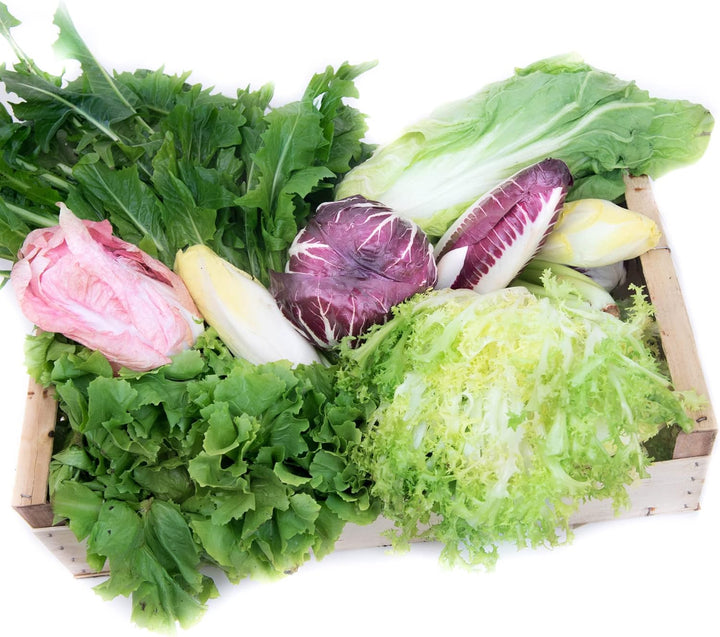 Frischekiste Bittersalatbox 6 kg, 6