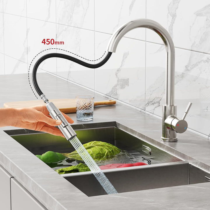 Rainsworth Wasserhahn Küche mit Brause Ausziehbar - Hochdruck Küchenarmatur mit Zwei Wasserstrahlart