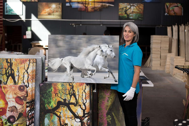 Startonight Bilder Zwei Weisse Pferde, Leinwandbilder Moderne Kunst, Tiere Wanddeko Kunstdrucke, Wan