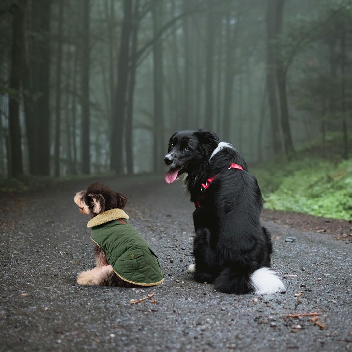 Queenmore Hundemantel Für Kleine Hunde Warme Wintermantel Hund Fleece Hundejacke Wasserdicht Quilten