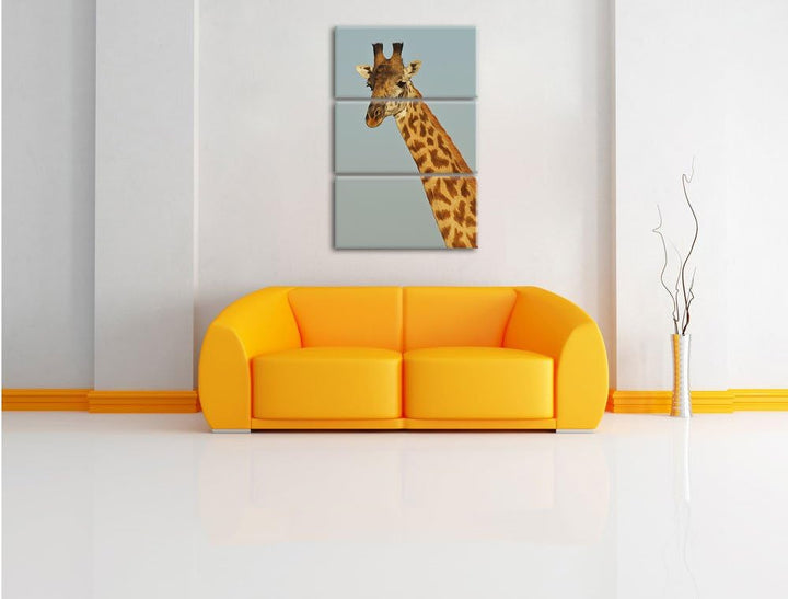 Pixxprint majestätische Giraffe als Leinwandbild/Grösse: 3 Teilig (120x80) cm/Wandbild/Kunstdruck/fe