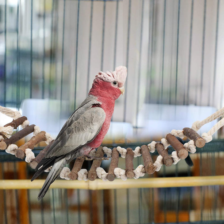Papageienspielzeug, Spielzeug für Nymphensittiche, Vögel, Kauen, Naturholz, Hängematte, Glocke, Voge