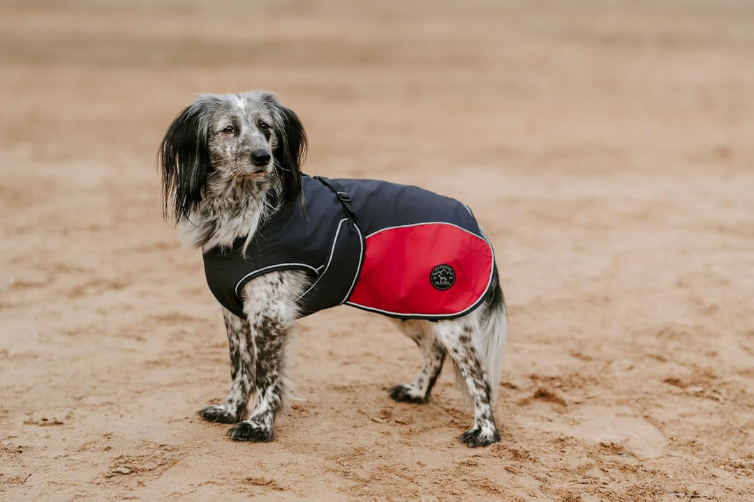 Hunter UPPSALA ALLROUNDER Hundemantel, 2-in1, herausknöpfbares Fleece-Futter, wasserabweisend, 45, a