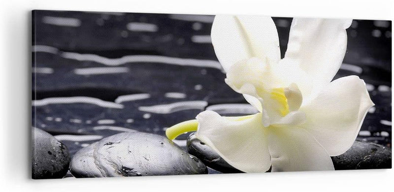 Wandbilder Dekoration Wohnzimmer Spa Orchidee Steine Wasser Panorama Bilder auf Leinwand 120x50cm Le