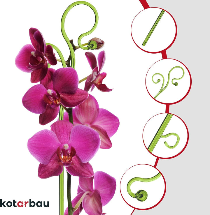 KOTARBAU® 2er Set Pflanzenstütze Grün PVC 58 cm Blumenstütze Rankhilfe Zimmerpflanzen Blumenstütze G