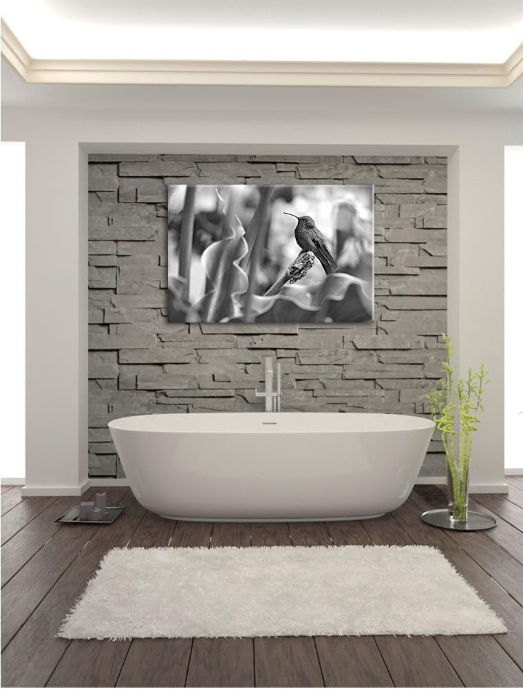 Pixxprint Kolibri in seinem Lebensraum als Leinwandbild/Grösse: 100x70 / Wandbild/Kunstdruck/fertig