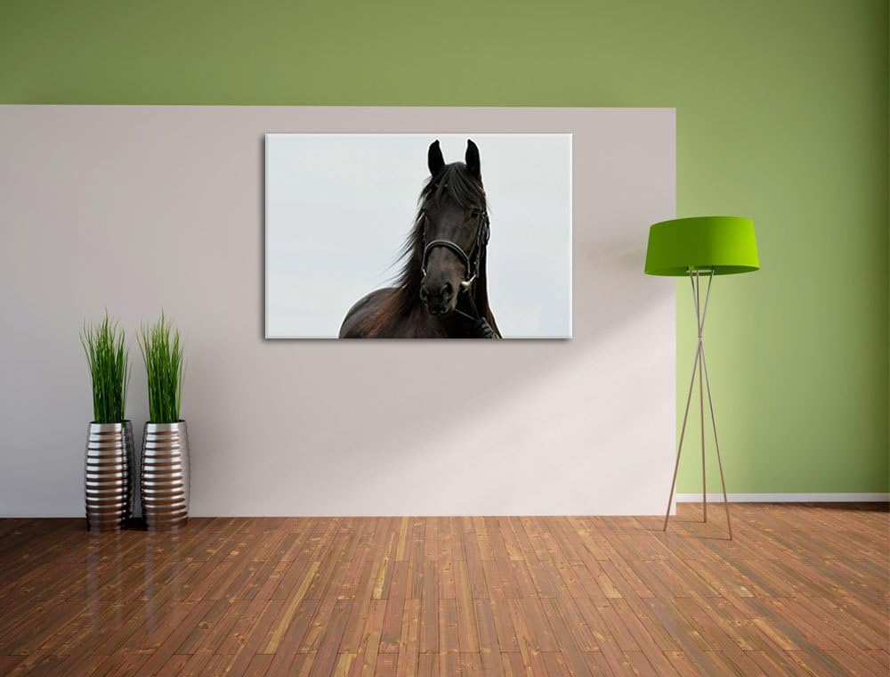 Pixxprint Schönes Pferd, Format: 100x70 auf Leinwand, XXL riesige Bilder fertig gerahmt mit Keilrahm