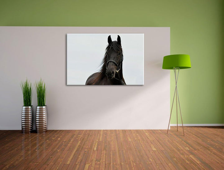 Pixxprint Schönes Pferd, Format: 100x70 auf Leinwand, XXL riesige Bilder fertig gerahmt mit Keilrahm