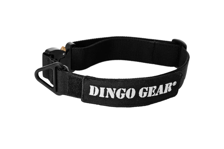 Dingo Gear Hundehalsband mit Cobra Schnalle, Farbe Schwarz, Band Breite 4 cm Länge 38-48 cm S04028 S