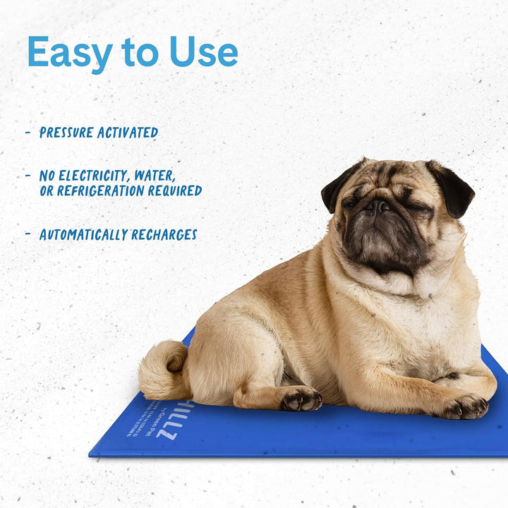 Umarmungen Pet Products chillz Pad Komfort Cooling Gel Pet Pad mittel blau, mittel blau