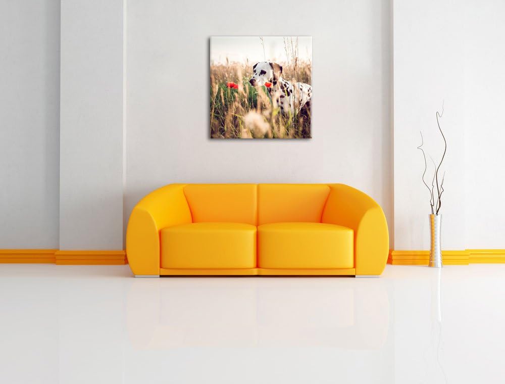 Neugieriger Hund im Feld, Format: 70x70 auf Leinwand, XXL riesige Bilder fertig gerahmt mit Keilrahm