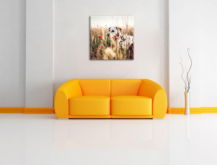 Neugieriger Hund im Feld, Format: 70x70 auf Leinwand, XXL riesige Bilder fertig gerahmt mit Keilrahm