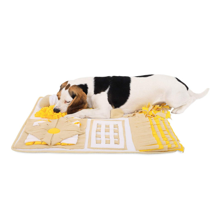 lionto Schnüffelteppich für Hunde und Katzen, Suchmatte zum Stressabbau und zur Konzentrationsförder