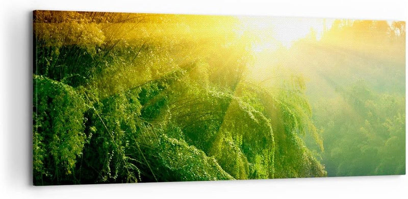 Wandbilder Dekoration Wohnzimmer Tropen Bäume Fluss Panorama Bilder auf Leinwand 120x50cm Leinwandbi