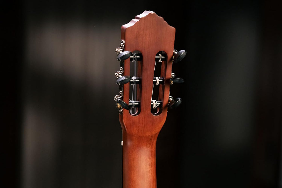 Ortega Guitars Full Size Konzertgitarre - Student Series - Catalpakorpus mit Zederndecke (RSTC5M)