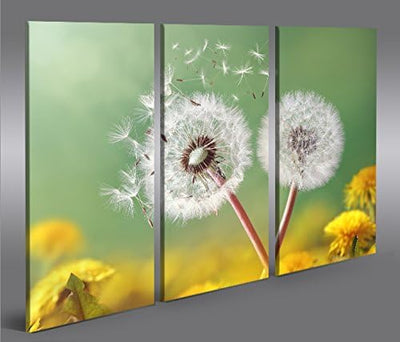 islandburner Bild Bilder auf Leinwand Pusteblume V2 Natur Blumen 3p XXL Poster Leinwandbild Wandbild