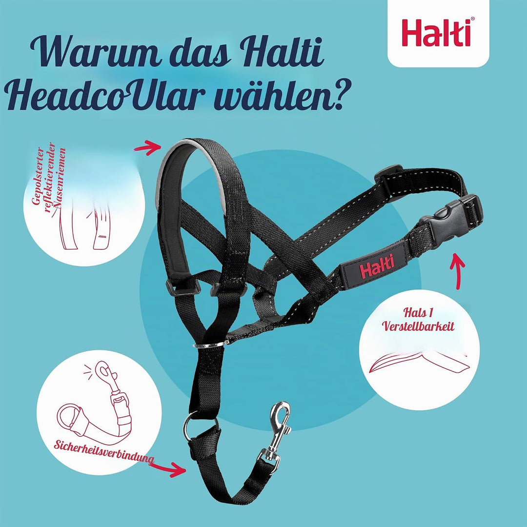 Halti Kopfhalsband und Trainingsleine Kombi-Pack, stoppt das Ziehen des Hundes auf Spaziergängen, be