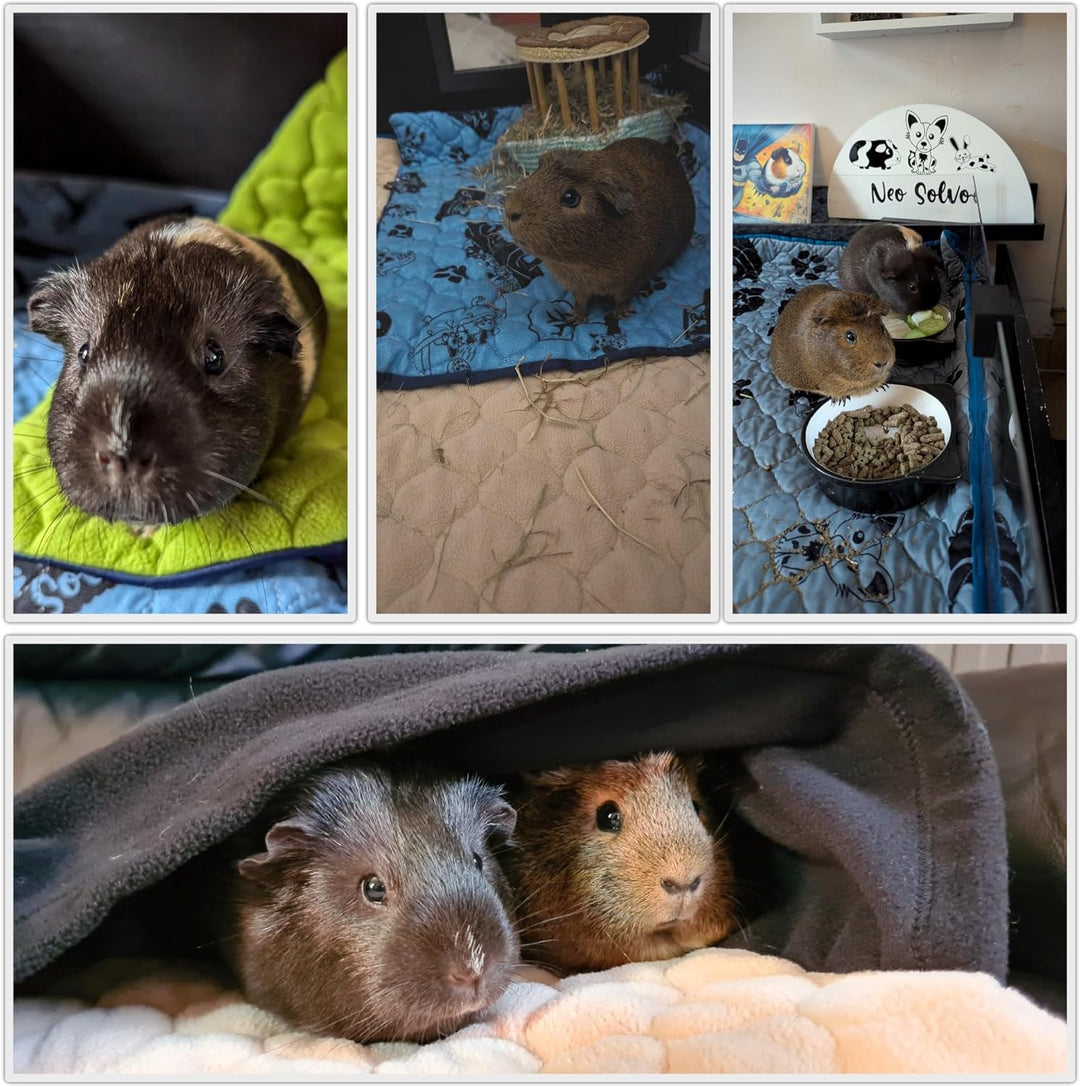 NEO SOLVO Käfig Einlage für Meerschweinchen und Kaninchen – 70 x 140 cm (2 x 4) mit abnehmbarer Flee