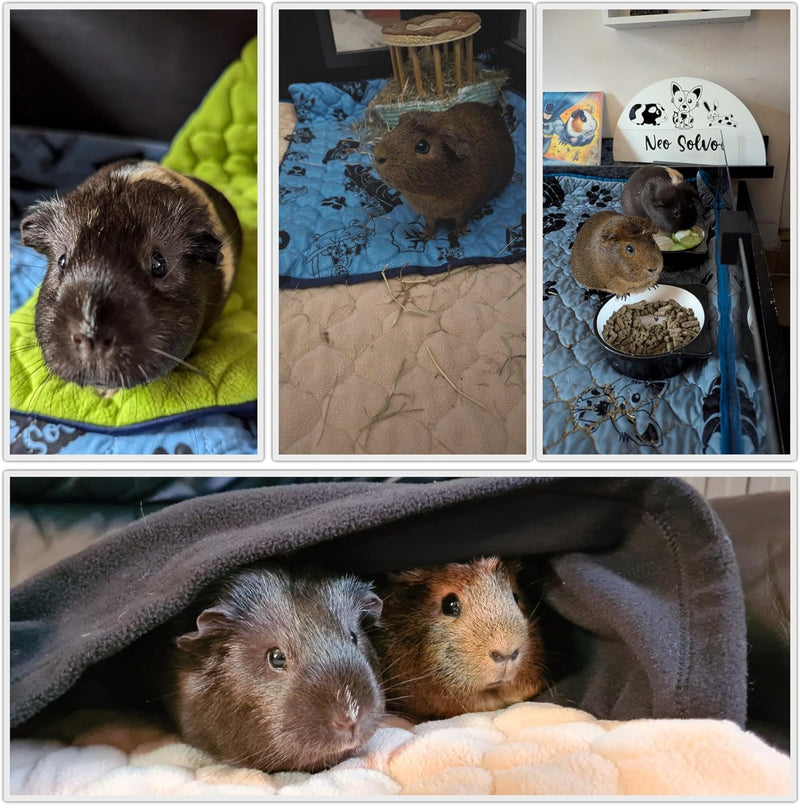 NEO SOLVO 4 Stück Käfigeinlage für Kaninchen und Meerschweinchen - perfekte Einstreu für Innenkäfige