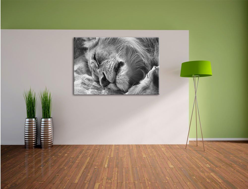 Pixxprint schlafender Löwe Kunst B&W als Leinwandbild/Grösse: 100x70 / Wandbild/Kunstdruck/fertig be