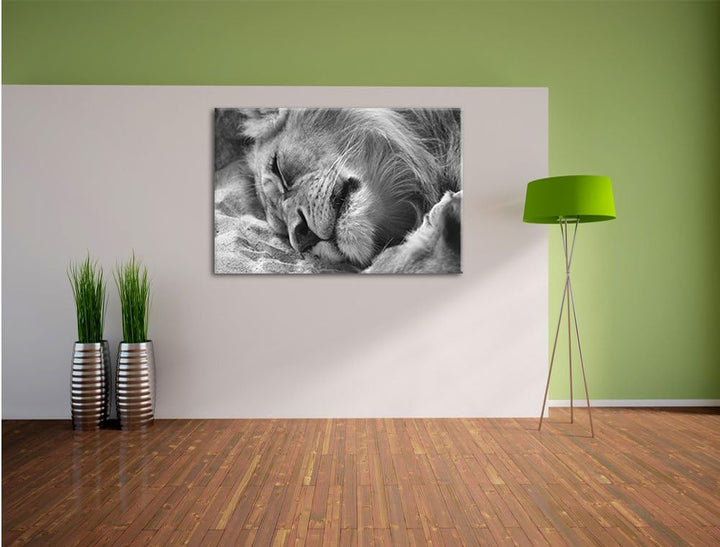 Pixxprint schlafender Löwe Kunst B&W als Leinwandbild/Grösse: 100x70 / Wandbild/Kunstdruck/fertig be