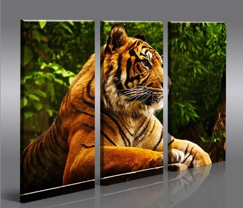 islandburner Bild Bilder auf Leinwand Tiger XXL Poster Leinwandbild Wandbild Art up Your Life ®