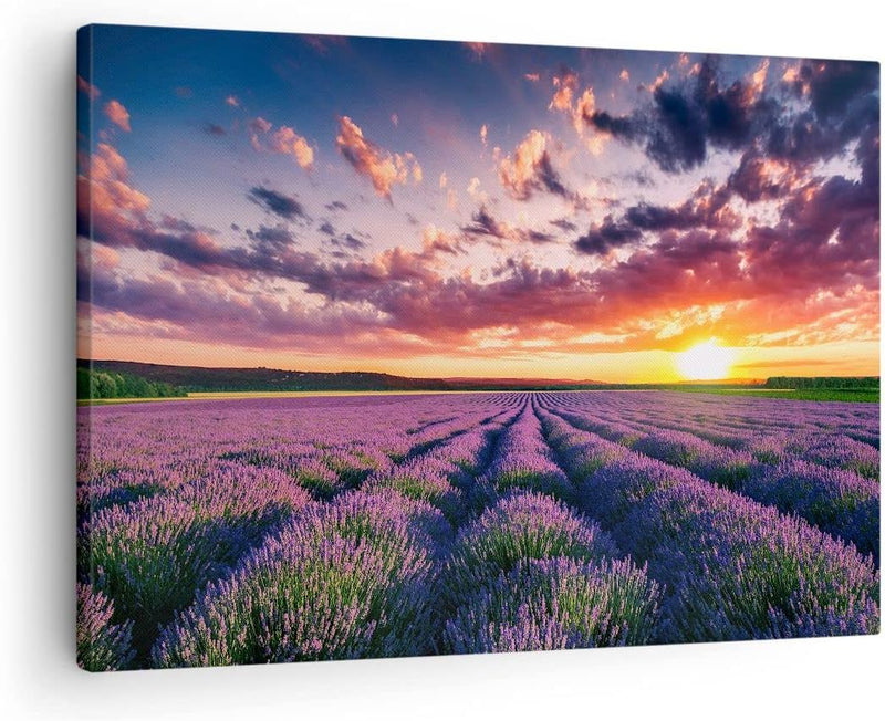 Bilder auf Leinwand Lavendel Berge Feld Leinwandbild mit Rahmen 70x50cm Wandbilder Dekoration Wohnzi