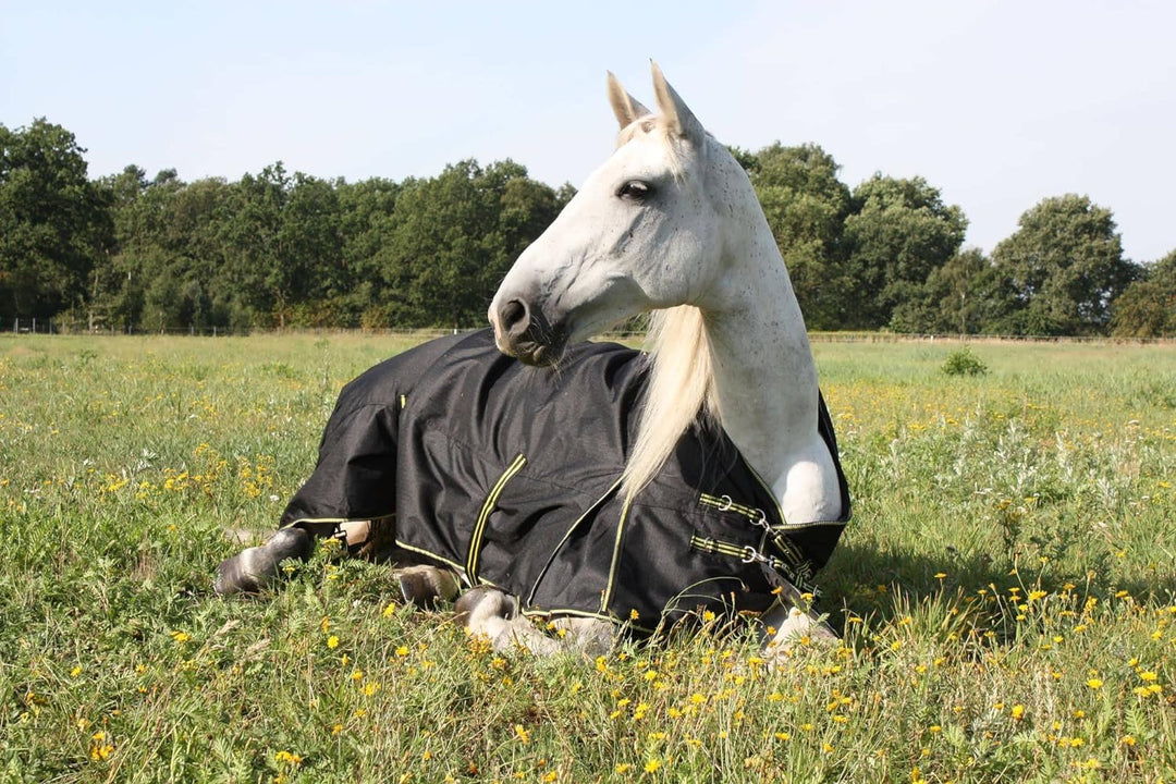 time4horses High Neck Thermodecke Pferdedecke Winterdecke Outdoordecke 100gr. 1200Denir 155 cm, 155